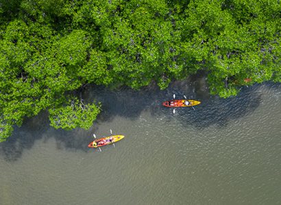 Kayaking_Mangroves-724x426