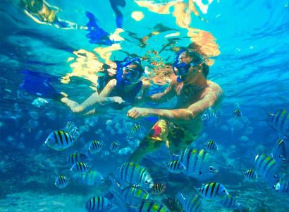 catalina-island-snorkeling-saona-dreams-dominican-republic-excursion